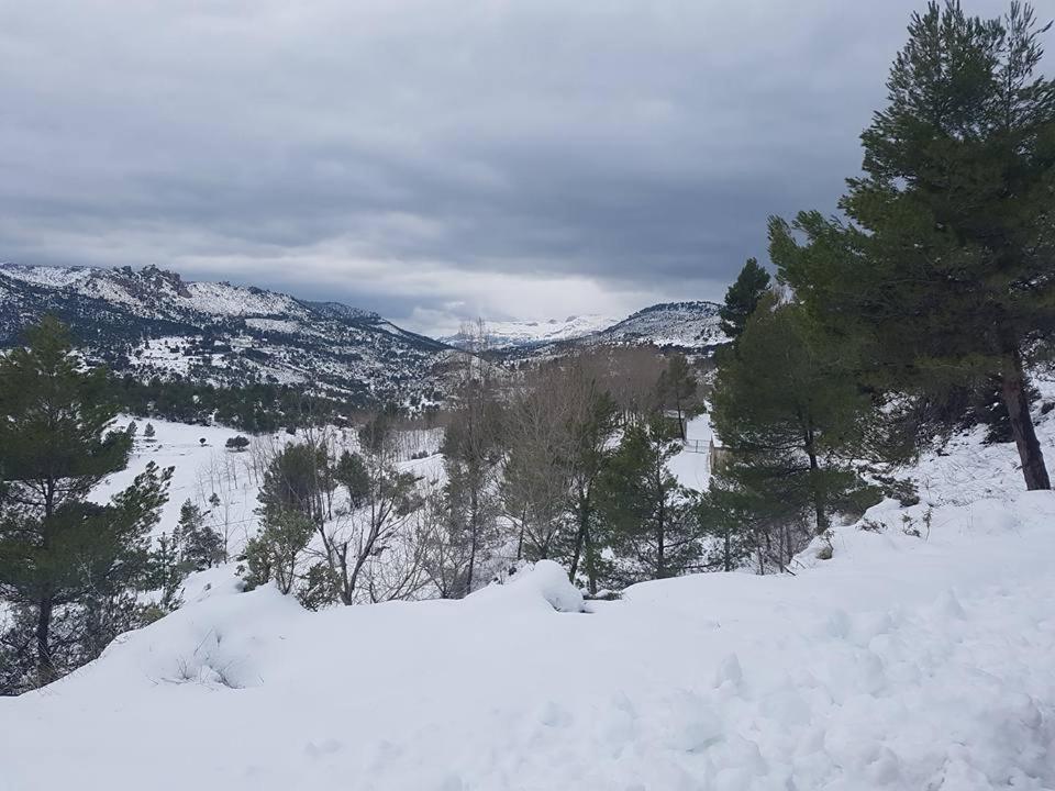 Casas Rurales Camaretas Yeste Bagian luar foto